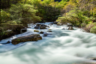 松坪溝